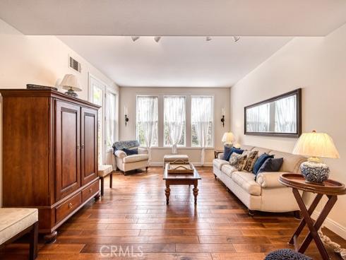 11  Lusitano  , Coto de Caza, CA