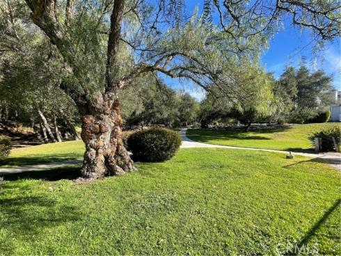 31601  Via Conejo  , Coto de Caza, CA