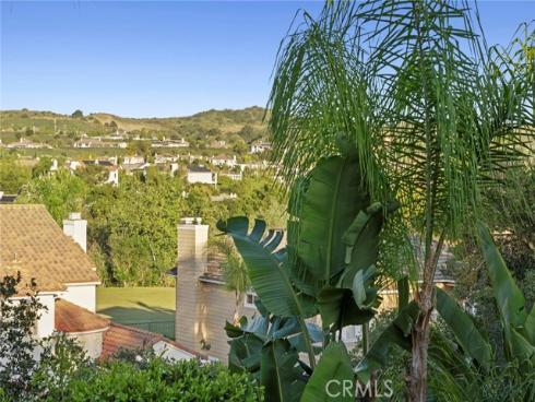 4 Golden Poppy , Coto de Caza, CA