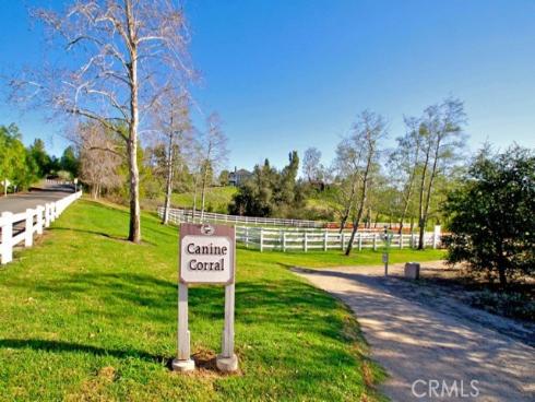 4  Golden Poppy  , Coto de Caza, CA