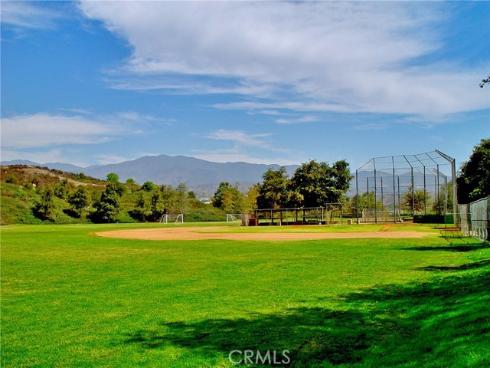 4  Golden Poppy  , Coto de Caza, CA