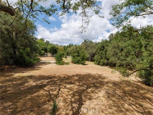 8  Palomino  , Coto de Caza, CA