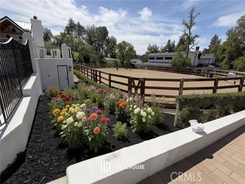 31742  Contijo  , Coto de Caza, CA