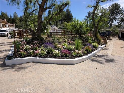 31742  Contijo  , Coto de Caza, CA