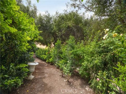 23591  Via Paloma  , Coto de Caza, CA