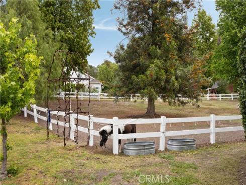 23591  Via Paloma  , Coto de Caza, CA