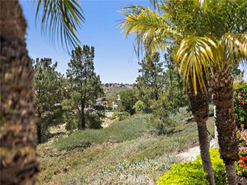 23 Harvard , Coto de Caza, CA