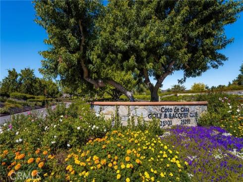 36 Brassie Lane, Coto de Caza, CA