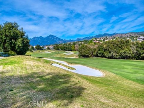 6  Coffeeberry   Court, Coto de Caza, CA