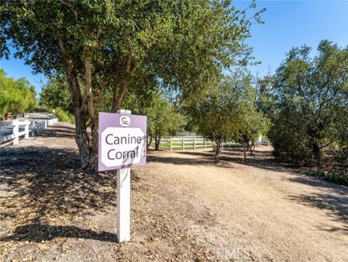 39  Spoon   Lane, Coto de Caza, CA