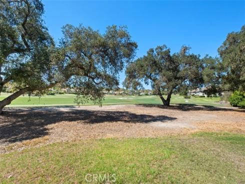 5 Ironwood , Coto de Caza, CA