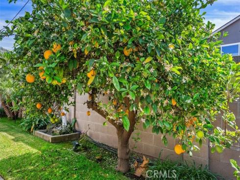 4282  Crystal  , Cypress, CA