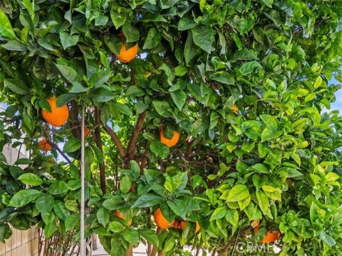 8792  Grindlay  , Cypress, CA