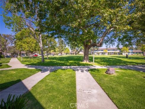 4236  Larwin  , Cypress, CA