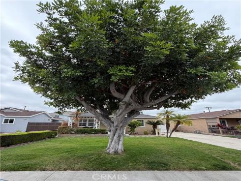 5552 Vonnie , Cypress, CA