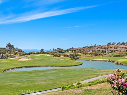 8  Forest Hills   Court, Dana Point, CA