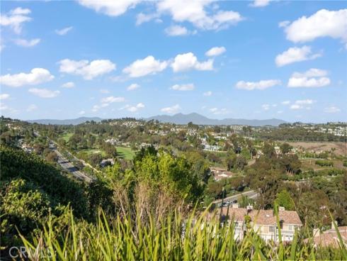 32322  Crete   Road, Dana Point, CA