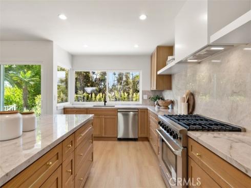 33161  Sea Lion   Drive, Dana Point, CA