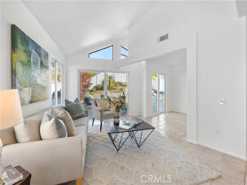 24561  Seth   Circle, Dana Point, CA