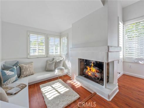 24561  Seth   Circle, Dana Point, CA