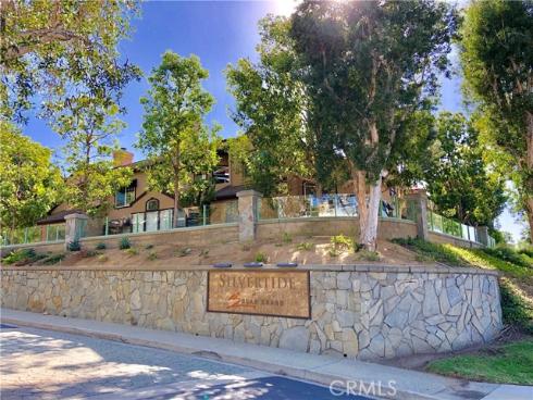 13  Silvertide   Drive, Dana Point, CA