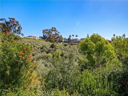 33052  Sunharbor  , Dana Point, CA