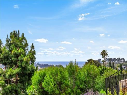 25282 Sea Rose Court, Dana Point, CA