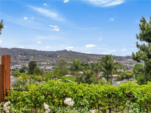 25282 Sea Rose Court, Dana Point, CA
