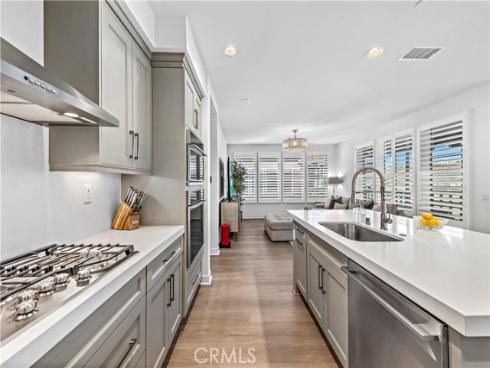 1309  Doheny   Way, Dana Point, CA