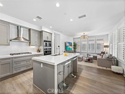 1309  Doheny   Way, Dana Point, CA