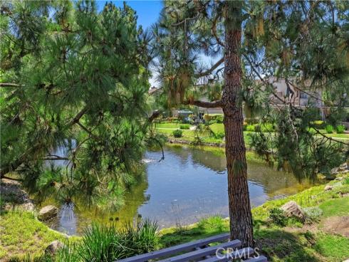 26972  Mill Pond  30  Road, Dana Point, CA