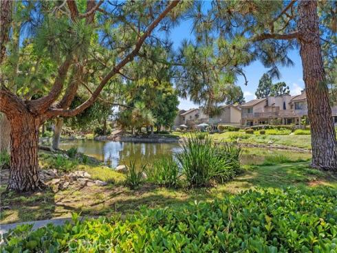 26972  Mill Pond  30  Road, Dana Point, CA