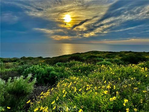 26972  Mill Pond  30  Road, Dana Point, CA