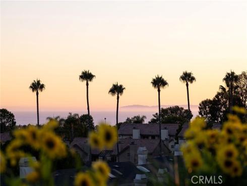 46  Terra Vista  , Dana Point, CA