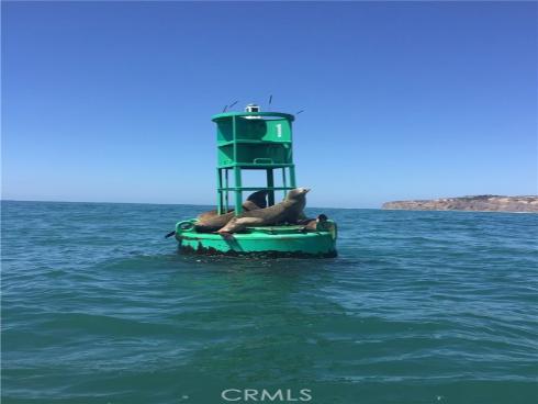 34866  Doheny Place  , Dana Point, CA