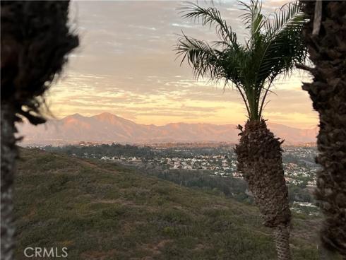 32072  Sea Island   Drive, Dana Point, CA