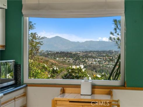 32072  Sea Island   Drive, Dana Point, CA