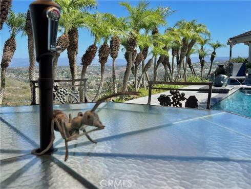 32072  Sea Island   Drive, Dana Point, CA