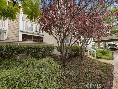 34032  Selva  96  Road, Dana Point, CA