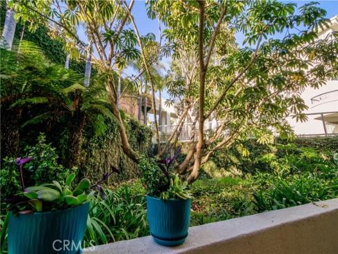 25422  Sea Bluffs Dr  103 , Dana Point, CA