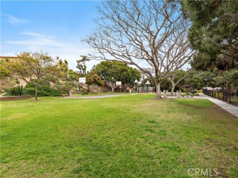33142  Sea Lion  , Dana Point, CA