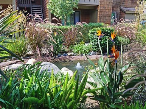 33852  Del Obispo  56 , Dana Point, CA