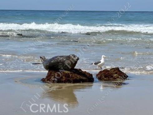 34134  Selva Road  248 , Dana Point, CA