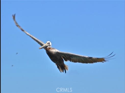 34122  Selva  275  Road, Dana Point, CA