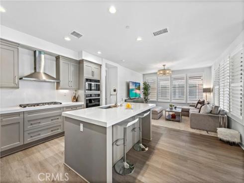 1309  Doheny   Way, Dana Point, CA