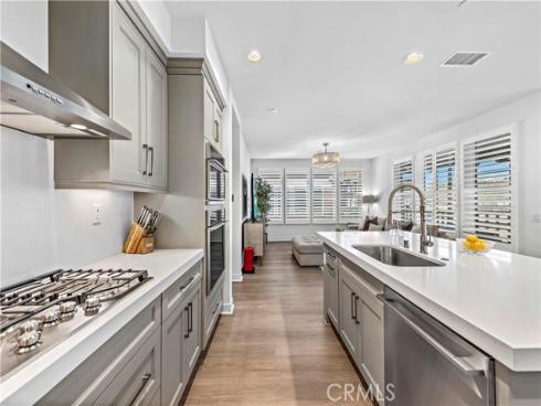 1309  Doheny   Way, Dana Point, CA