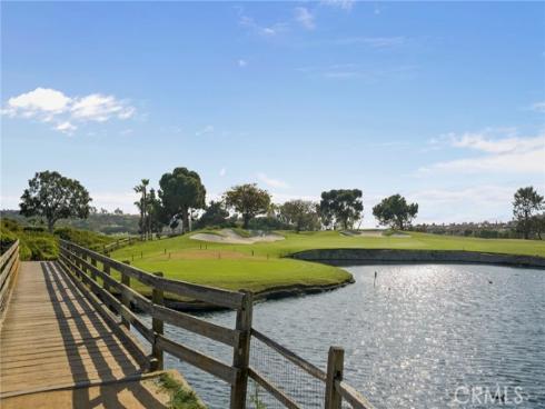 22  Via Monarca  , Dana Point, CA