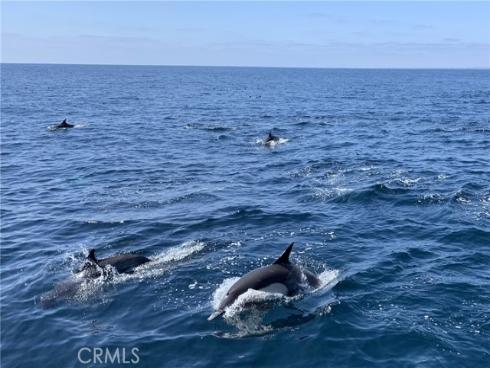 28  Corniche Dr.  J , Dana Point, CA