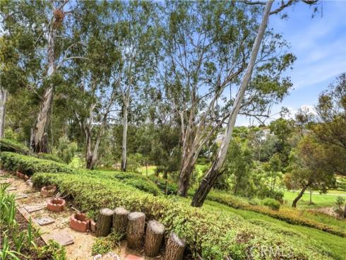 25091 Danapepper , Dana Point, CA