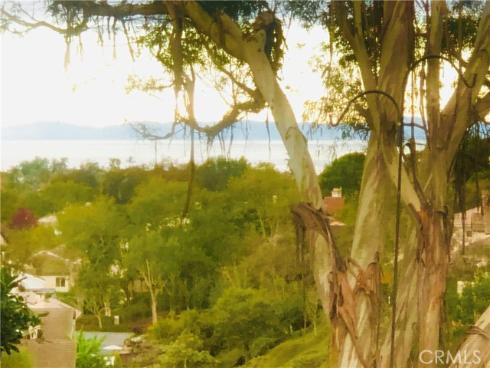 25091 Danapepper , Dana Point, CA